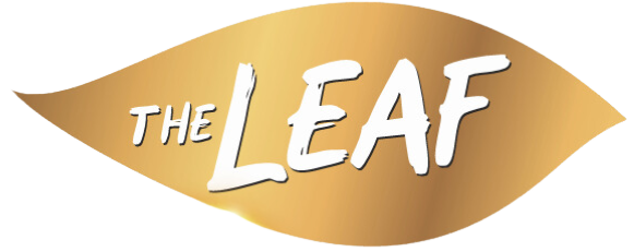 Landiox logo